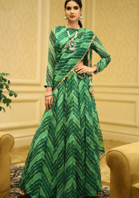 ana Raga Pre-Draped Saree Gown