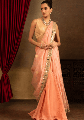 Rangrez Pehrav Saree Skirt Set