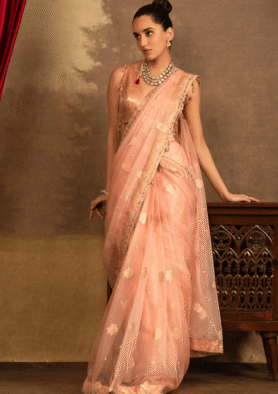 Gulposh Satrangi Saree