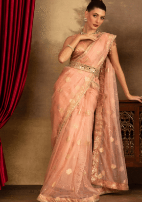 Blush Gulnaar Embellished Saree Set